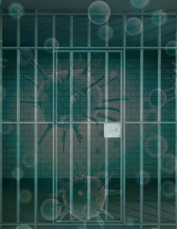 COVID-19 behind bars