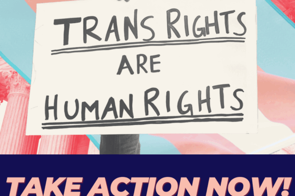 trans rights