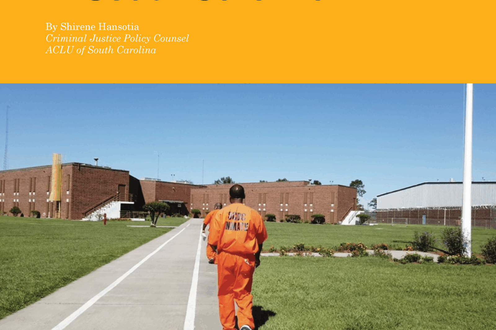 New ACLU of South Carolina Report Documents the Human and Fiscal Costs ...