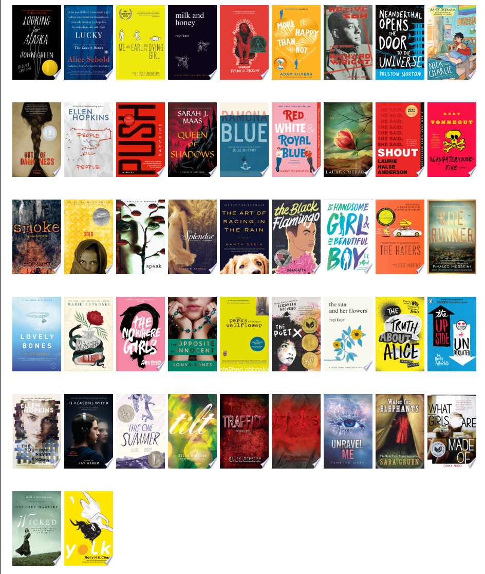 The covers of more books challenged in Berkeley County Schools