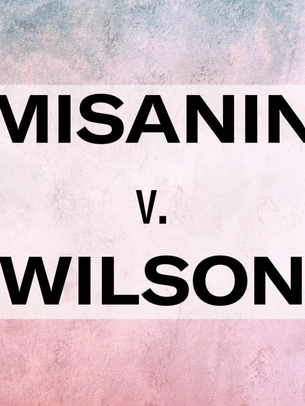 "Misanin v. Wilson." Text appears in all caps over a background of hazy pink and blue.