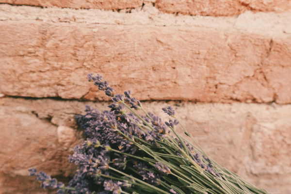 A bundle of lavender on a red brick background