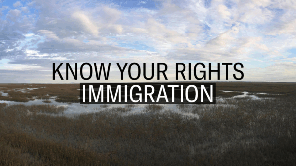 "Know Your Rights: Immigration." Text appears over a landscape photo of marshland under a clouded blue sky.
