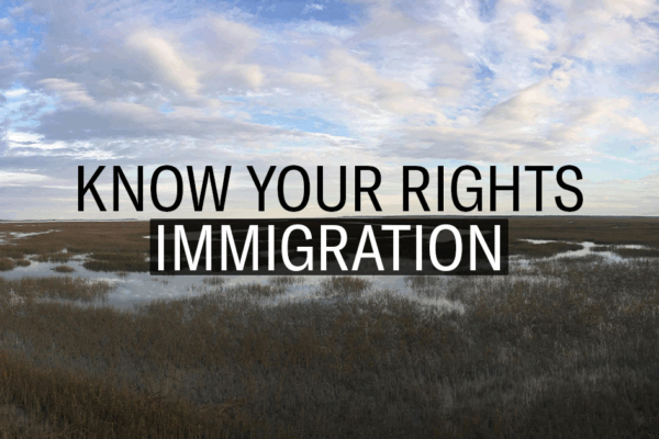 "Know Your Rights: Immigration." Text appears over a landscape photo of marshland under a clouded blue sky.
