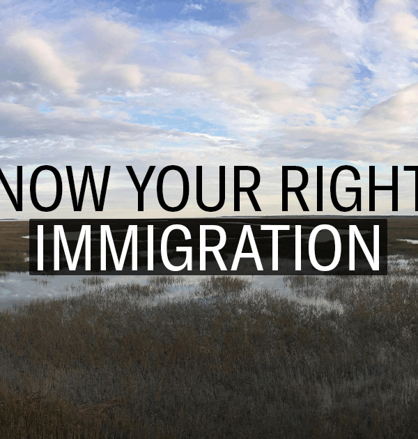 "Know Your Rights: Immigration." Text appears over a landscape photo of marshland under a clouded blue sky.