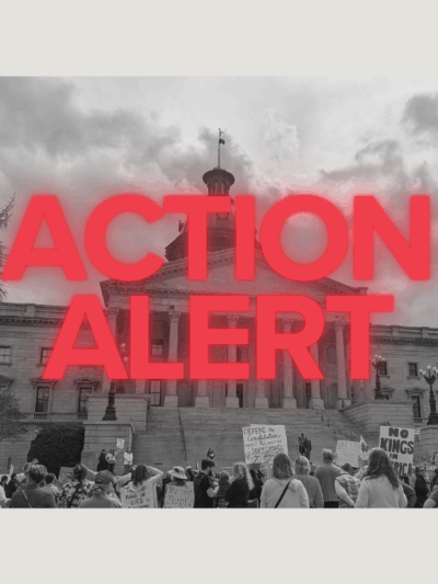 "Action Alert" in red text over a grayscale photo of the State House with protesters in front
