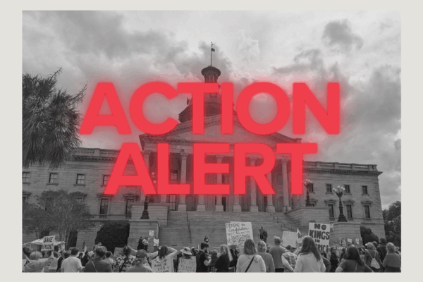 "Action Alert" in red text over a grayscale photo of the State House with protesters in front