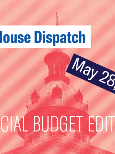 "State House Dispatch: May 28, 2025. Special Budget Edition." Text appears over a salmon-tinted image of the South Carolina State House dome.