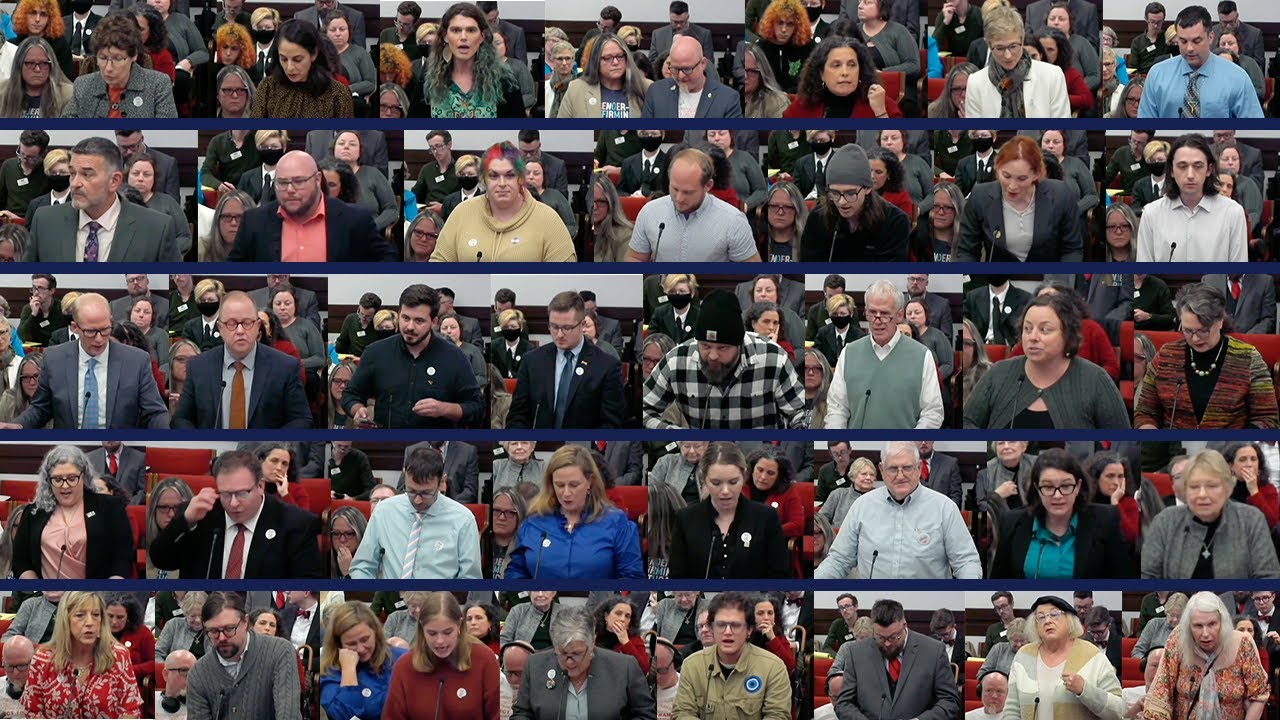 South Carolinians Testify Against Anti-Transgender Healthcare Ban H.4624