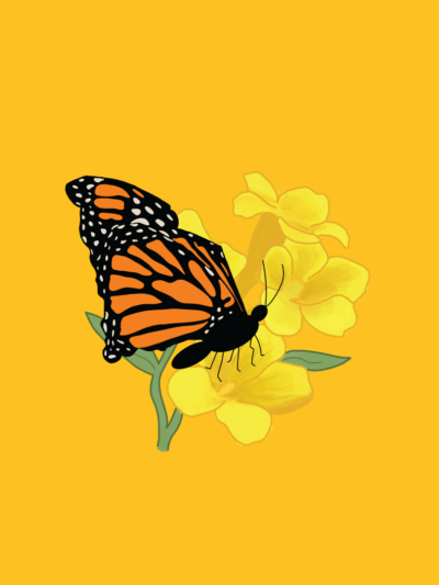 Graphic of a monarch butterfly perched on a yellow jessamine flower