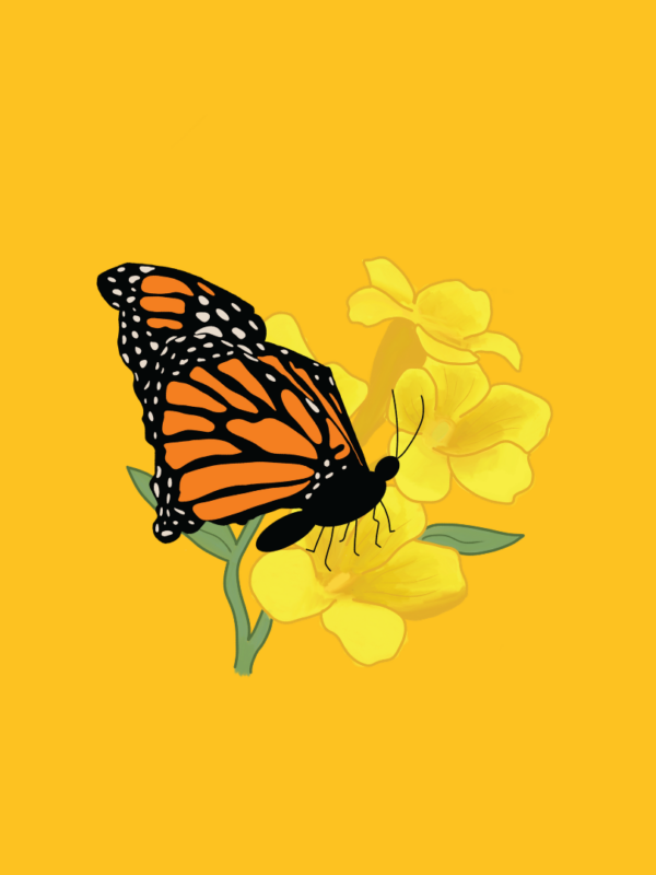 Graphic of a monarch butterfly perched on a yellow jessamine flower