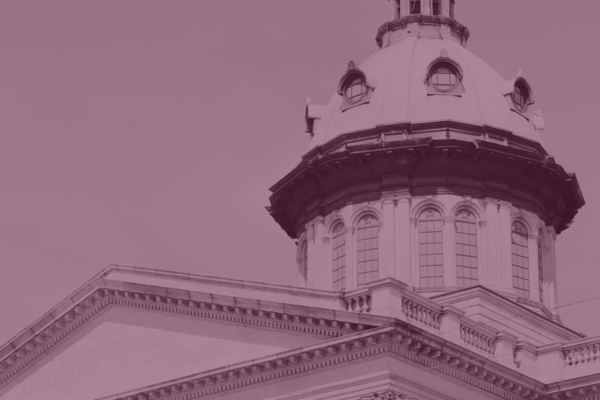 Pink tinted photo of the South Carolina Statehouse