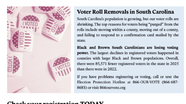 Full-page Protect Your Vote info sheet