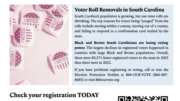 Full-page handout explaining voter removals in South Carolina