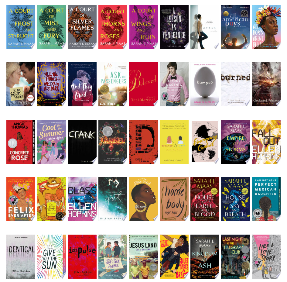 The covers of books challenged in Berkeley County Schools