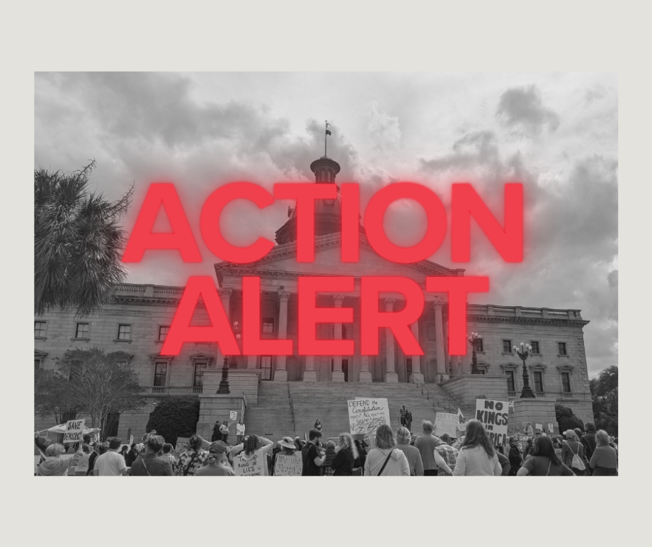 "Action Alert" in red text over a grayscale photo of the State House with protesters in front