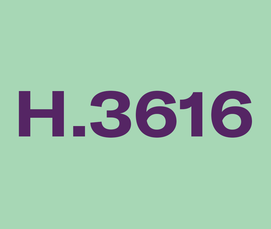 "H 3616" written in purple letters on a pale green background