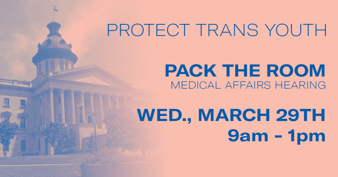 protect trans youth medical affairs hearing march 29th