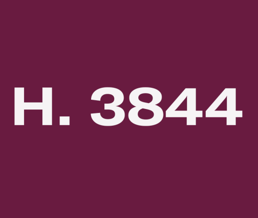 "H. 3844" in white text on a dark burgundy background