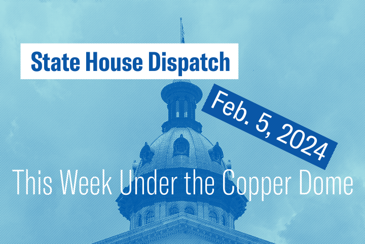 "State House Dispatch: Feb. 5, 2024. This Week Under the Copper Dome." Text appears over a blue-tinted image of the South Carolina State House dome.