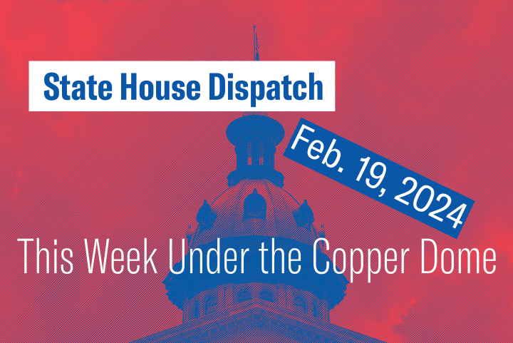 "State House Dispatch: Feb. 19, 2024. This Week Under the Copper Dome." Text appears over a red-tinted image of the South Carolina State House dome.