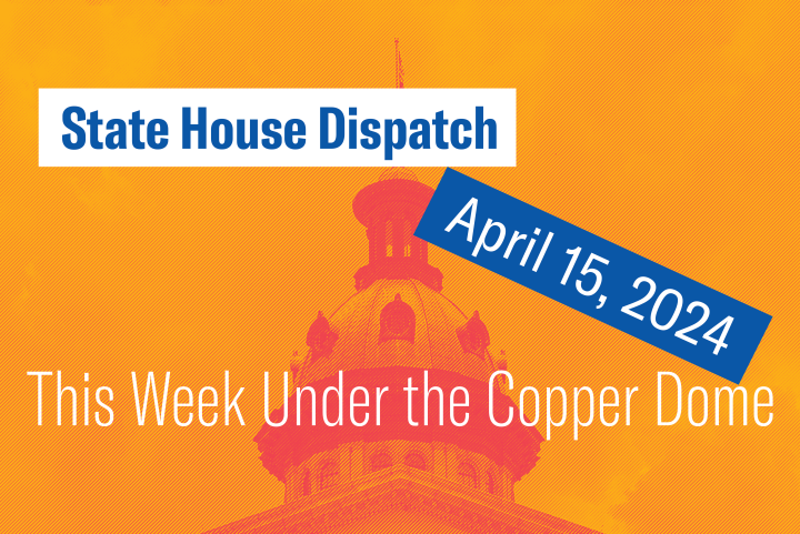 "State House Dispatch: April 15, 2024. This Week Under the Copper Dome." Text appears over an orange-tinted image of the South Carolina State House dome.