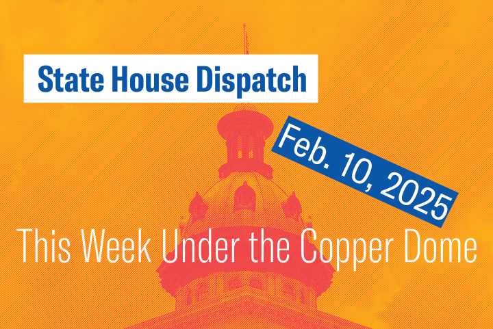 "State House Dispatch: Feb. 10, 2025. This Week Under the Copper Dome." Text appears over an orange-tinted image of the South Carolina State House dome.