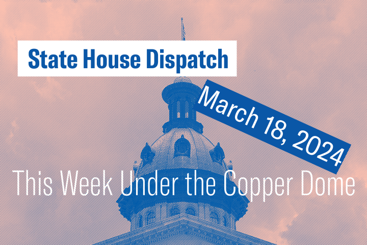 "State House Dispatch: March 18, 2024. This Week Under the Copper Dome." Text appears over a pink and blue-tinted image of the South Carolina State House dome.