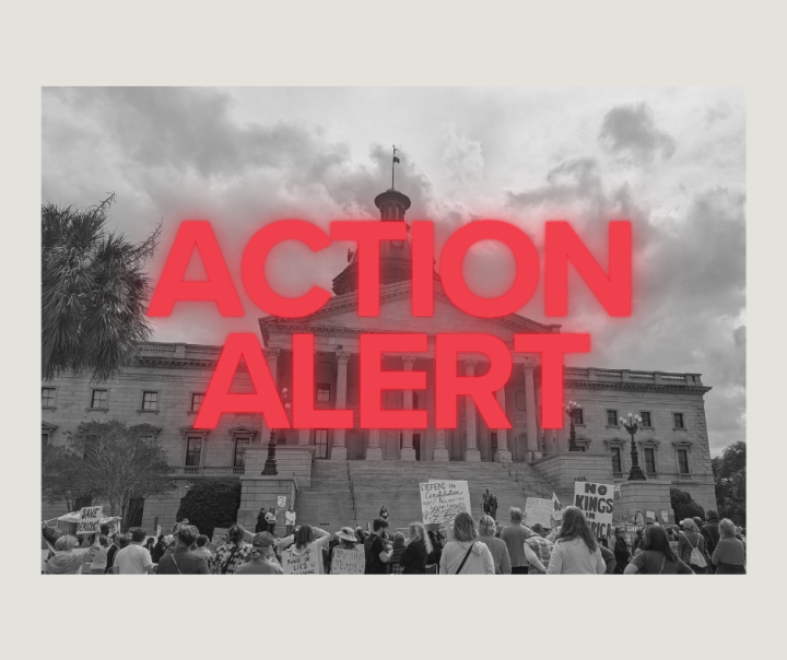 "Action Alert" in red text over a grayscale photo of the State House with protesters in front