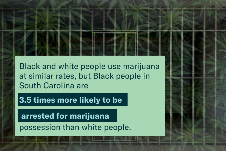 Criminalization of Marijuana Criminalization of Marijuana