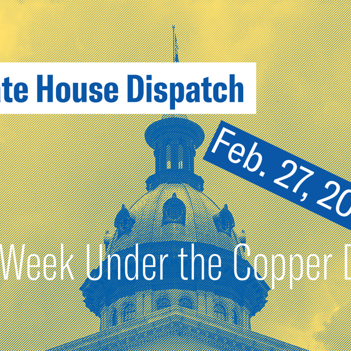 "State House Dispatch: Feb. 27, 2024. This Week Under the Copper Dome." Text appears over a yellow and blue-tinted image of the South Carolina State House dome.