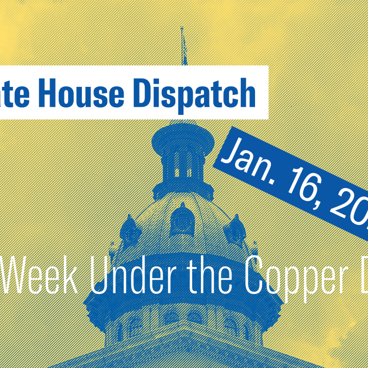 "State House Dispatch: Jan. 16, 2024. This Week Under the Copper Dome." Text appears over a yellow and blue stylized image of the South Carolina State House dome.