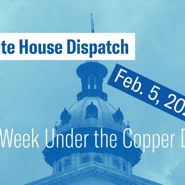 "State House Dispatch: Feb. 5, 2024. This Week Under the Copper Dome." Text appears over a blue-tinted image of the South Carolina State House dome.