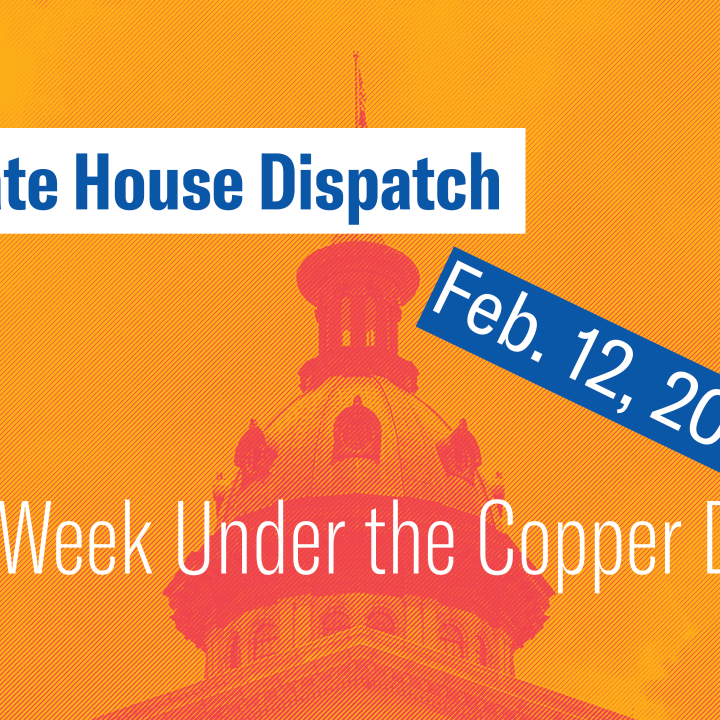 "State House Dispatch: Feb. 12, 2024. This Week Under the Copper Dome." Text appears over an orange-tinted image of the South Carolina State House dome.