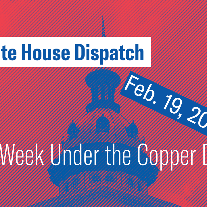 "State House Dispatch: Feb. 19, 2024. This Week Under the Copper Dome." Text appears over a red-tinted image of the South Carolina State House dome.