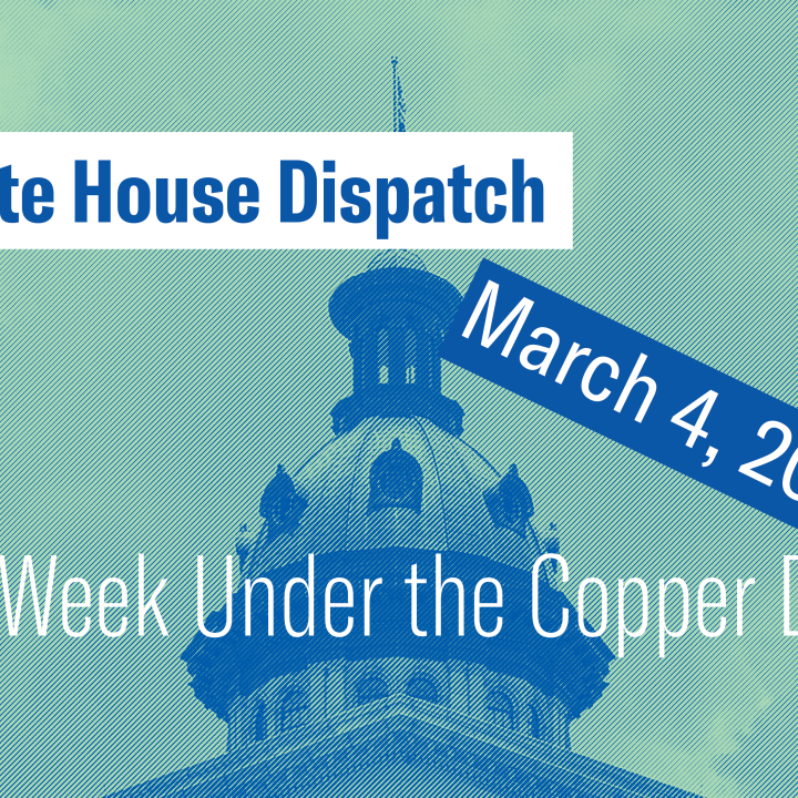 "State House Dispatch: March 4, 2024. This Week Under the Copper Dome." Text appears over a teal and blue image of the South Carolina State House dome.
