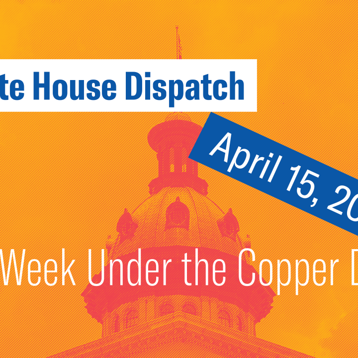 "State House Dispatch: April 15, 2024. This Week Under the Copper Dome." Text appears over an orange-tinted image of the South Carolina State House dome.