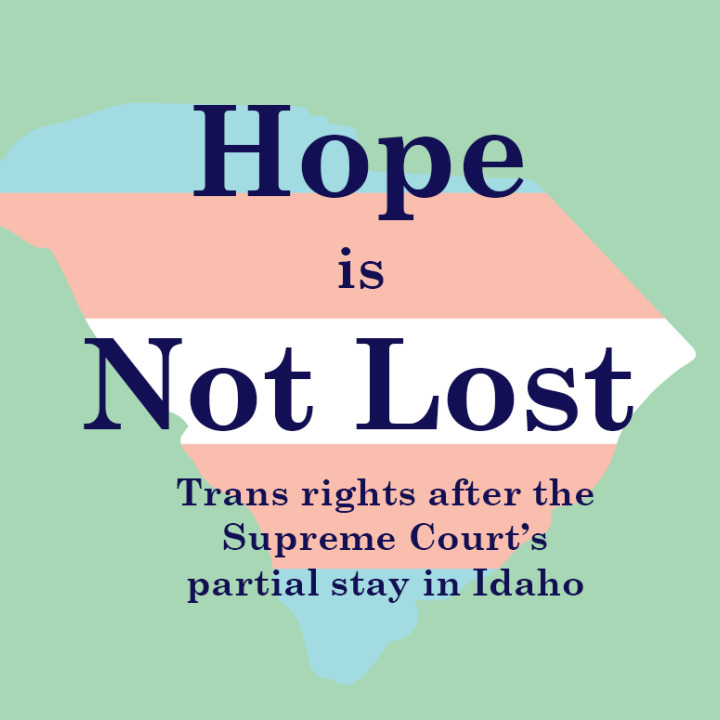 "Hope is Not Lost: Trans rights after the Supreme Court's partial stay in Idaho." Text is overlaid on a map of South Carolina colored in the blue, pink, and white stripes of the trans pride flag.