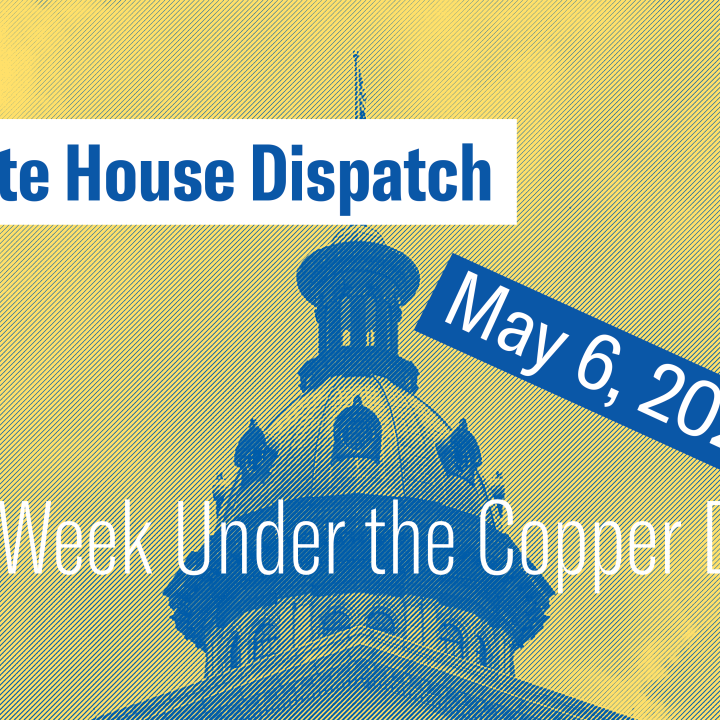 "State House Dispatch: May 6, 2024. This Week Under the Copper Dome." Text appears over a yellow and blue tinted image of the South Carolina State House dome.