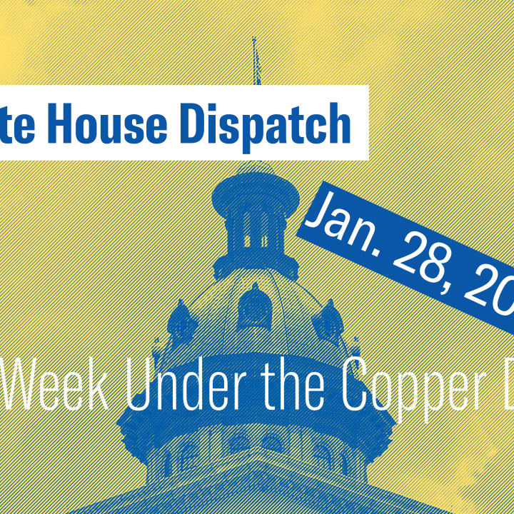 "State House Dispatch: Jan. 28, 2025. This Week Under the Copper Dome." Text appears over a yellow and blue stylized image of the South Carolina State House dome.