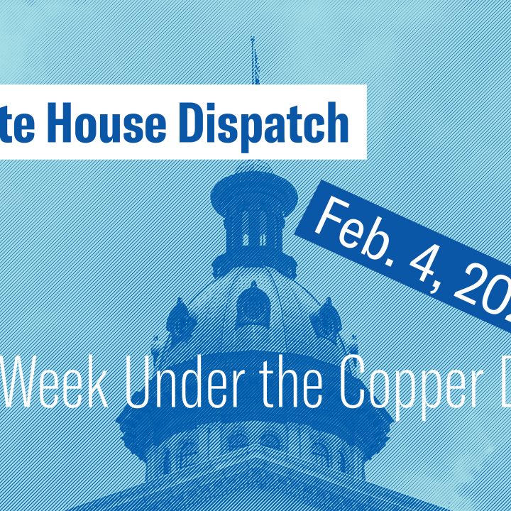"State House Dispatch: Feb. 4, 2025. This Week Under the Copper Dome." Text appears over a blue-tinted image of the South Carolina State House dome.