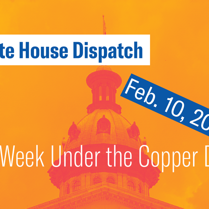 "State House Dispatch: Feb. 10, 2025. This Week Under the Copper Dome." Text appears over an orange-tinted image of the South Carolina State House dome.