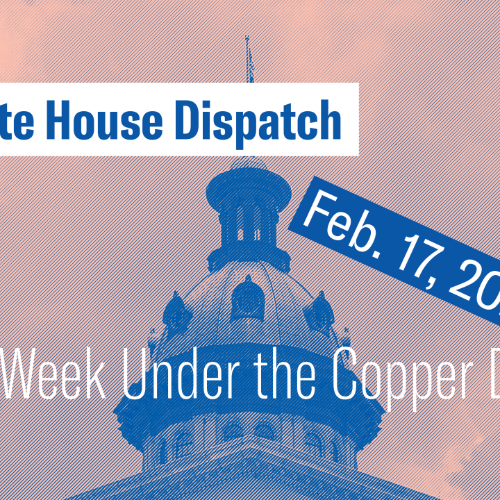 "State House Dispatch: Feb. 17, 2025. This Week Under the Copper Dome." Text appears over a pink and blue-tinted image of the South Carolina State House dome.