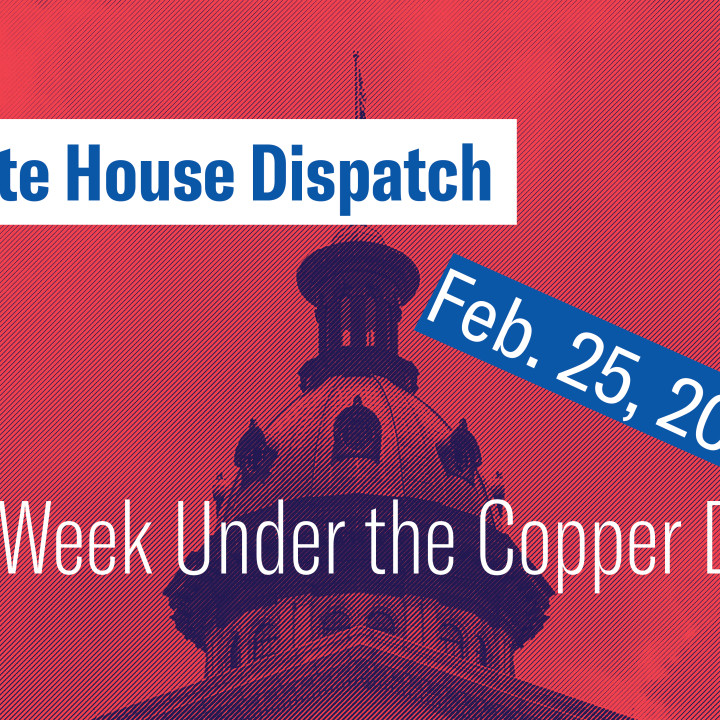 "State House Dispatch: Feb. 25, 2025. This Week Under the Copper Dome." Text appears over a red-tinted image of the South Carolina State House dome.