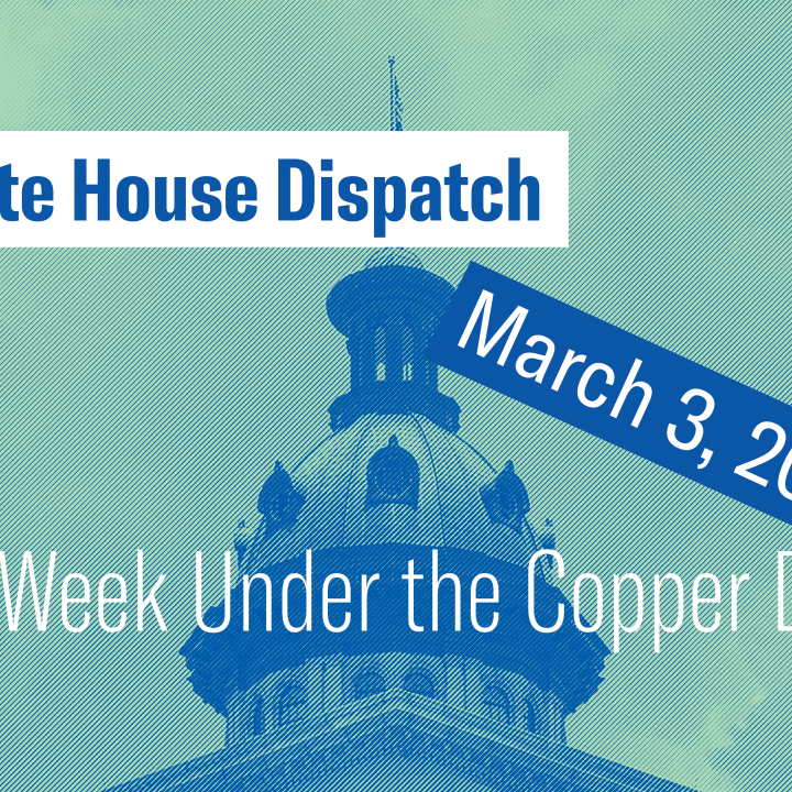 "State House Dispatch: March 3, 2025. This Week Under the Copper Dome." Text appears over a green-tinted image of the South Carolina State House dome.