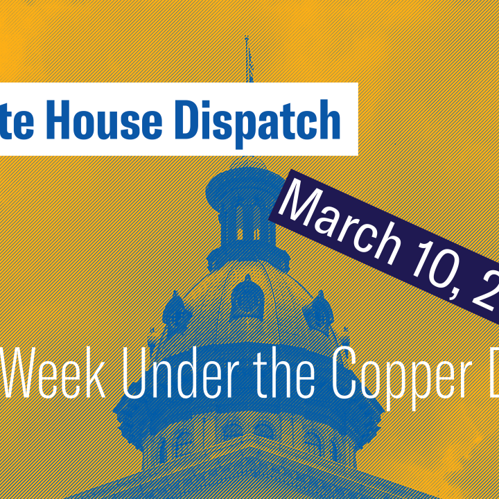 "State House Dispatch: March 10, 2025. This Week Under the Copper Dome." Text appears over a yellow-tinted image of the South Carolina State House dome.