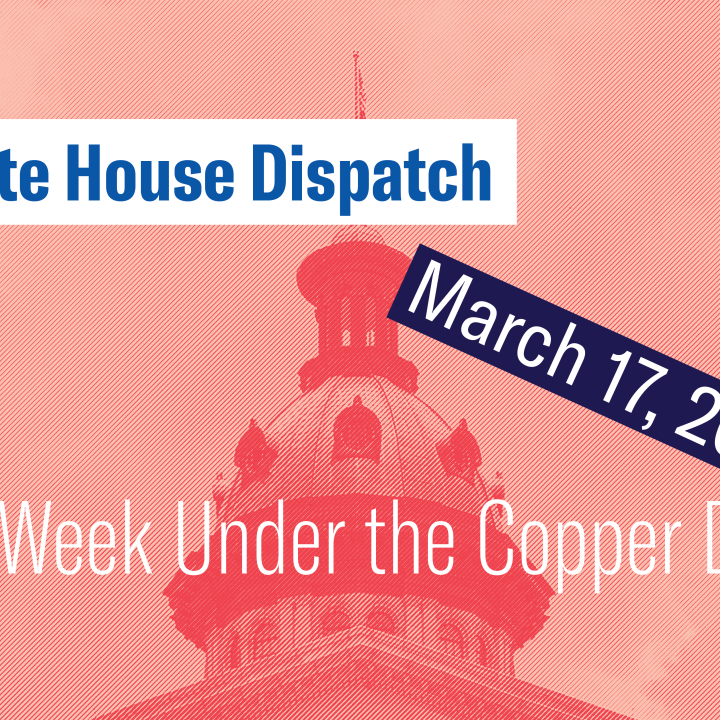 "State House Dispatch: March 17, 2025. This Week Under the Copper Dome." Text appears over a salmon-tinted image of the South Carolina State House dome.