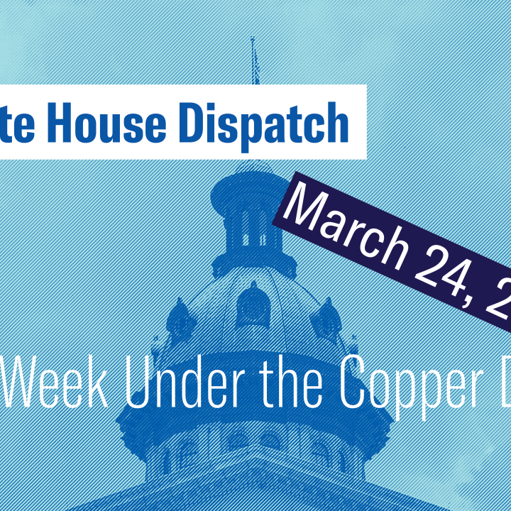 "State House Dispatch: March 24, 2025. This Week Under the Copper Dome." Text appears over a blue-tinted image of the South Carolina State House dome.