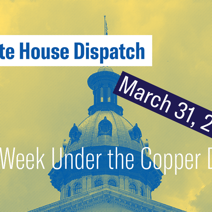 "State House Dispatch: March 31, 2025. This Week Under the Copper Dome." Text appears over a yellow-tinted image of the South Carolina State House dome.