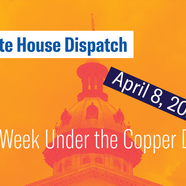"State House Dispatch: April 8, 2025. This Week Under the Copper Dome." Text appears over an orange-tinted image of the South Carolina State House dome.